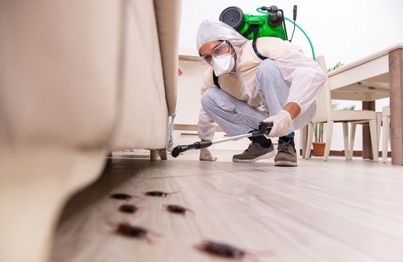 Exterminators services Moscow, ID
