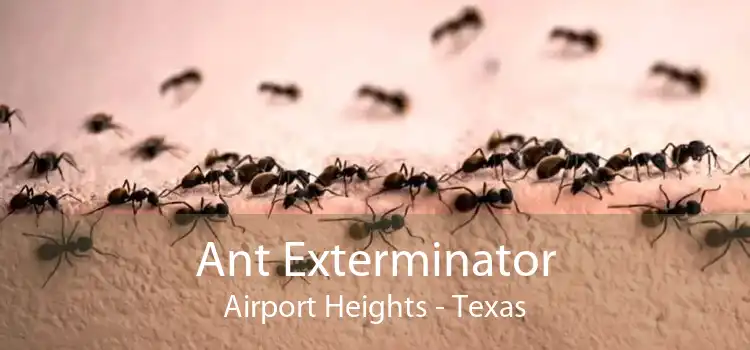 Ant Exterminator Airport Heights - Texas