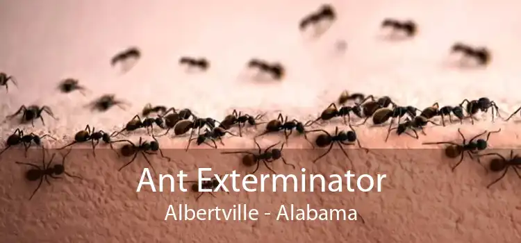 Ant Exterminator Albertville - Alabama