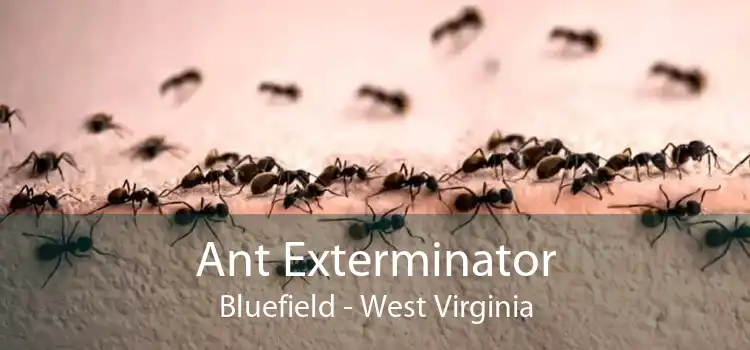 Ant Exterminator Bluefield - West Virginia