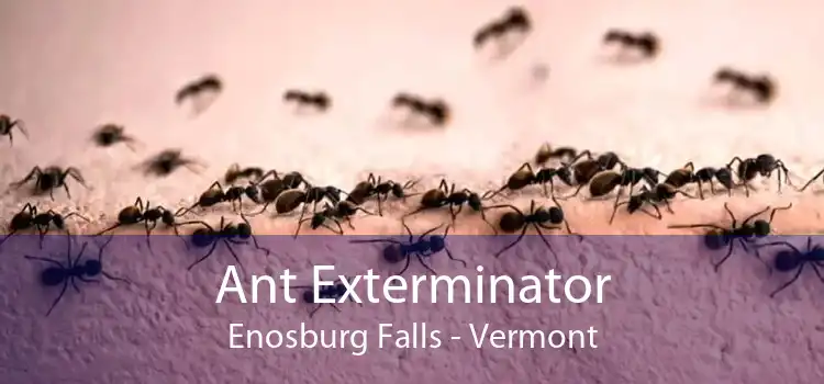 Ant Exterminator Enosburg Falls - Vermont