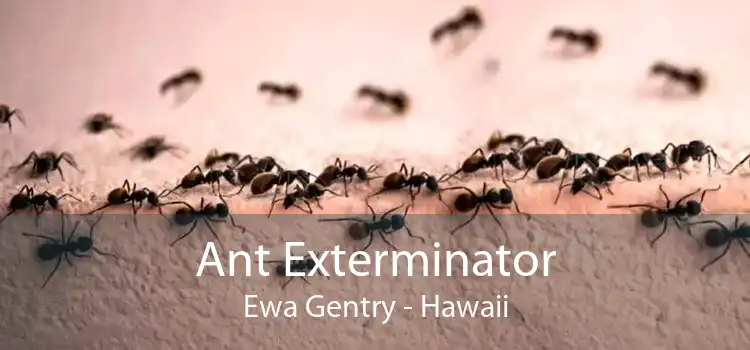 Ant Exterminator Ewa Gentry - Hawaii