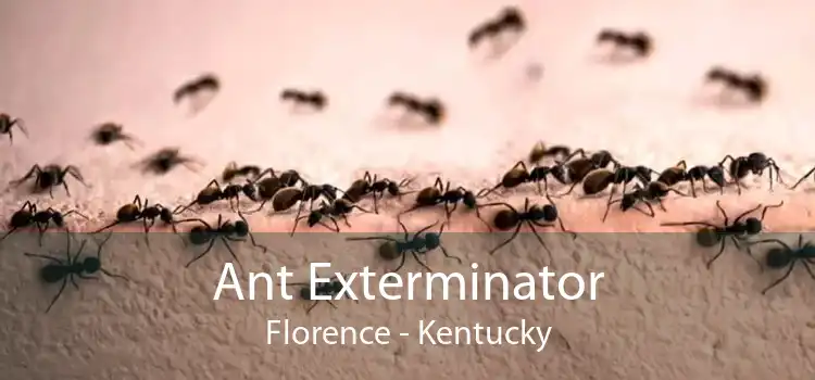 Ant Exterminator Florence - Kentucky