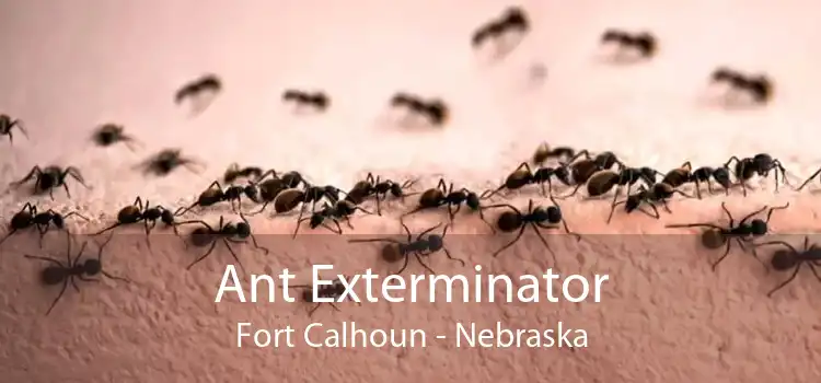 Ant Exterminator Fort Calhoun - Nebraska