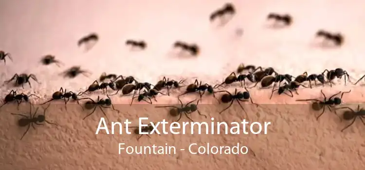 Ant Exterminator Fountain - Colorado