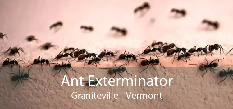 Ant Exterminator Graniteville - Vermont