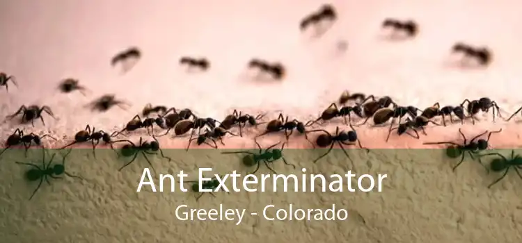 Ant Exterminator Greeley - Colorado