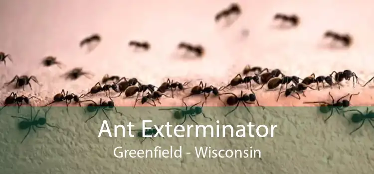 Ant Exterminator Greenfield - Wisconsin