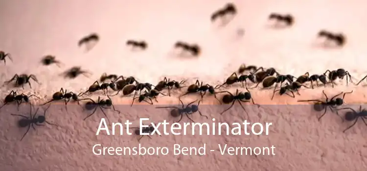 Ant Exterminator Greensboro Bend - Vermont