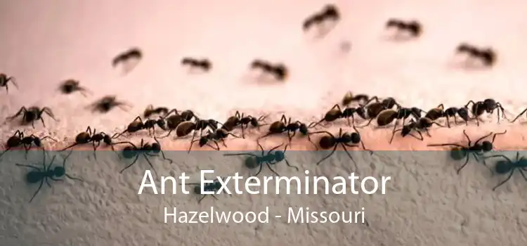 Ant Exterminator Hazelwood - Missouri