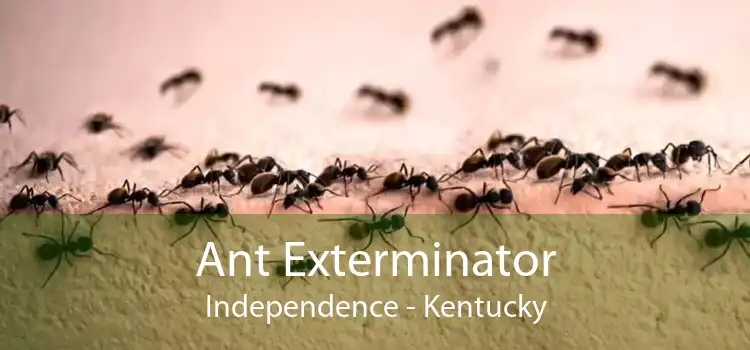 Ant Exterminator Independence - Kentucky