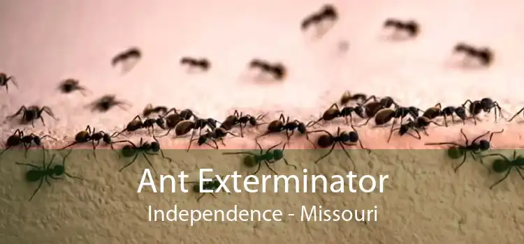 Ant Exterminator Independence - Missouri