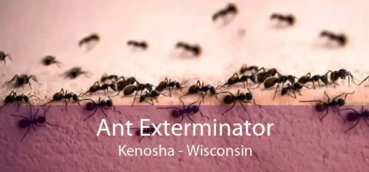 Ant Exterminator Kenosha - Wisconsin