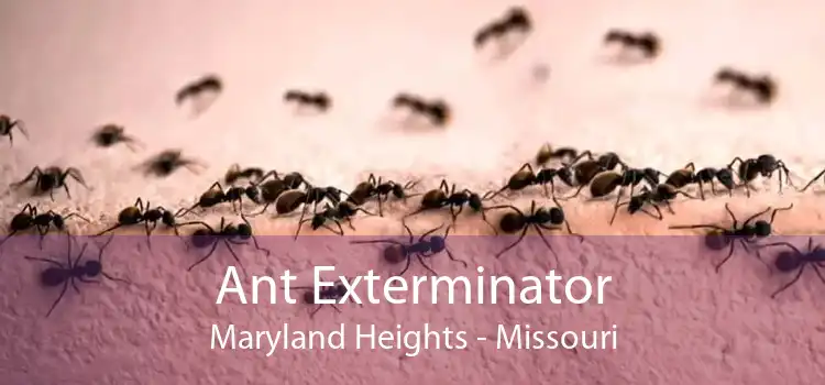 Ant Exterminator Maryland Heights - Missouri