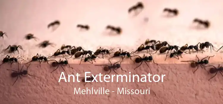 Ant Exterminator Mehlville - Missouri