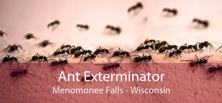 Ant Exterminator Menomonee Falls - Wisconsin