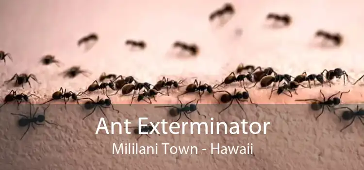 Ant Exterminator Mililani Town - Hawaii