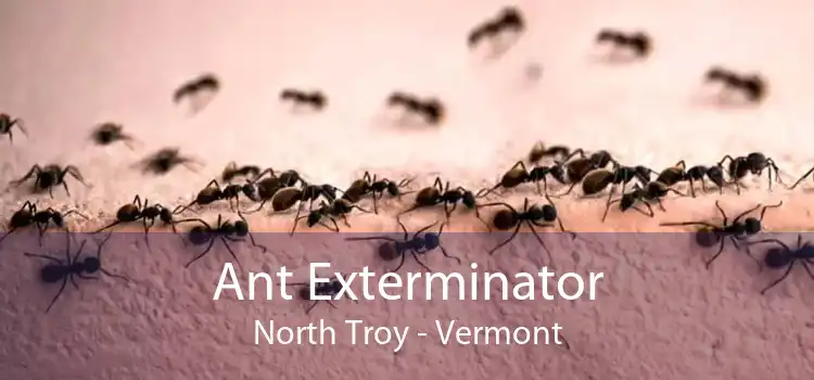 Ant Exterminator North Troy - Vermont