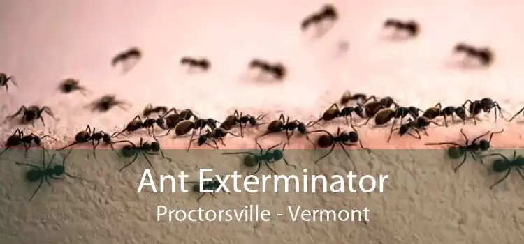 Ant Exterminator Proctorsville - Vermont