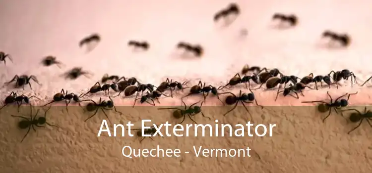 Ant Exterminator Quechee - Vermont