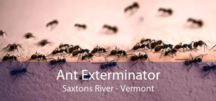 Ant Exterminator Saxtons River - Vermont