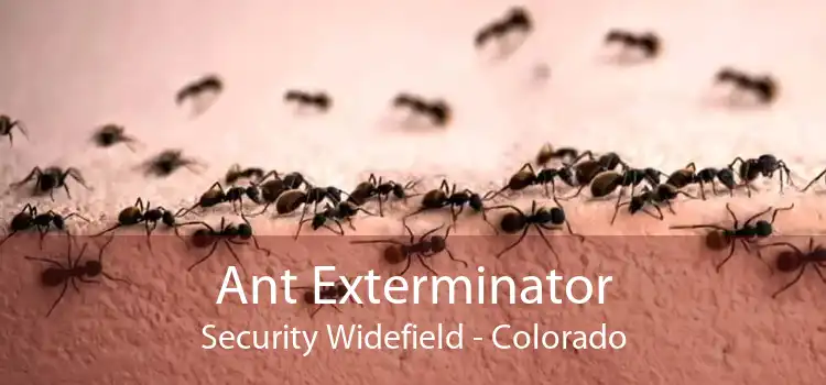 Ant Exterminator Security Widefield - Colorado