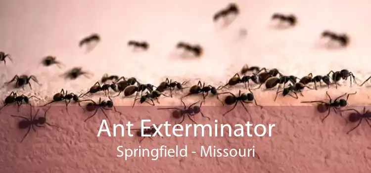 Ant Exterminator Springfield - Missouri