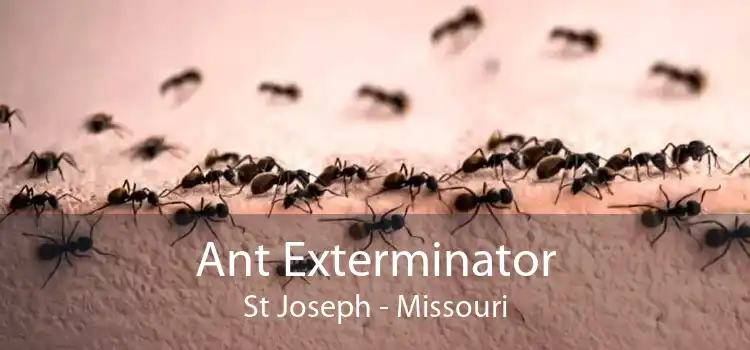 Ant Exterminator St Joseph - Missouri
