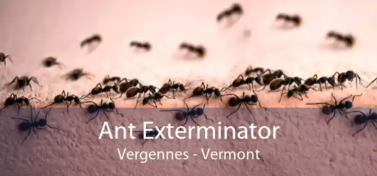 Ant Exterminator Vergennes - Vermont
