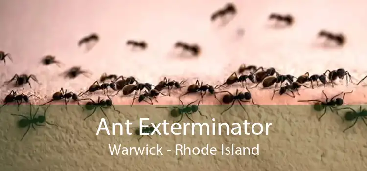 Ant Exterminator Warwick - Rhode Island
