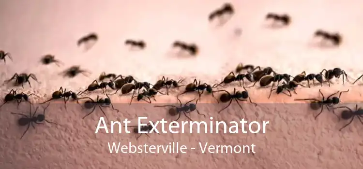 Ant Exterminator Websterville - Vermont