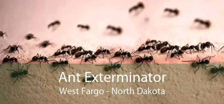 Ant Exterminator West Fargo - North Dakota