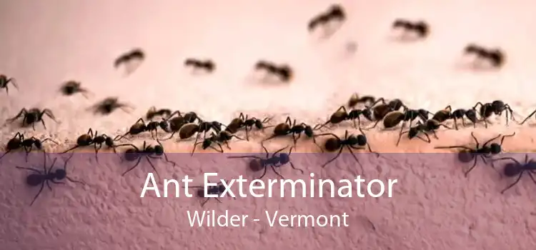 Ant Exterminator Wilder - Vermont