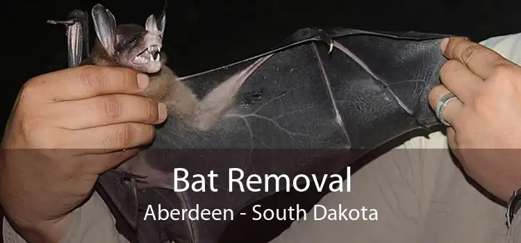 Bat Removal Aberdeen - South Dakota