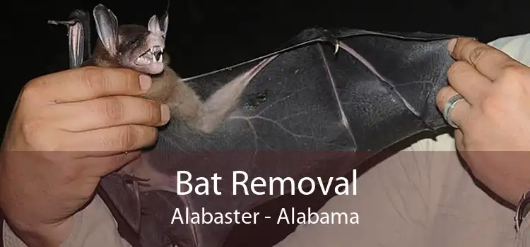 Bat Removal Alabaster - Alabama