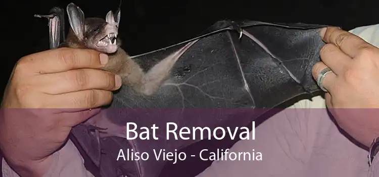 Bat Removal Aliso Viejo - California