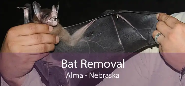Bat Removal Alma - Nebraska