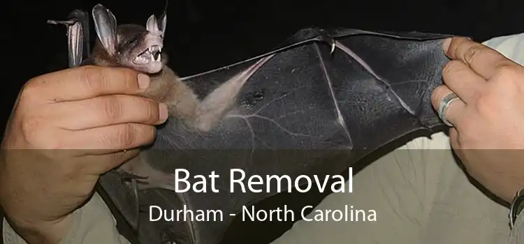Bat Removal Durham - North Carolina