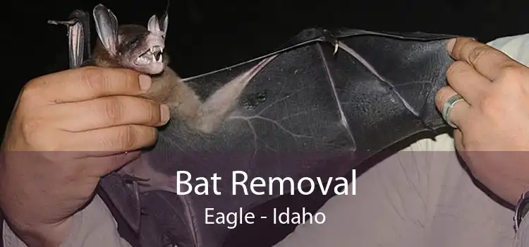 Bat Removal Eagle - Idaho