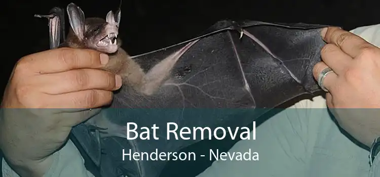 Bat Removal Henderson - Nevada