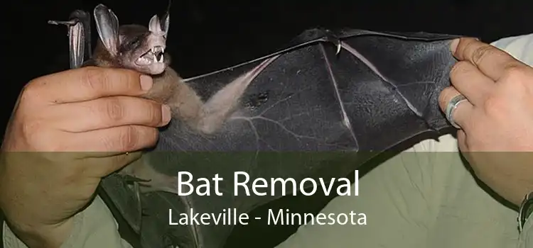 Bat Removal Lakeville - Minnesota