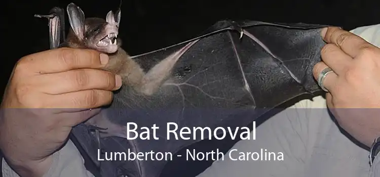 Bat Removal Lumberton - North Carolina