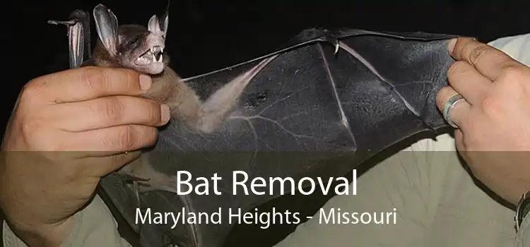 Bat Removal Maryland Heights - Missouri
