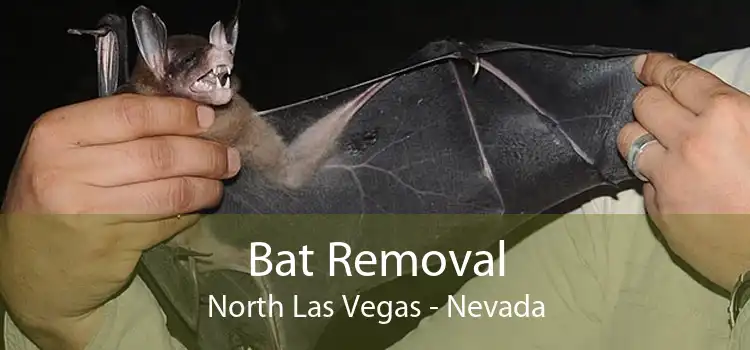 Bat Removal North Las Vegas - Nevada