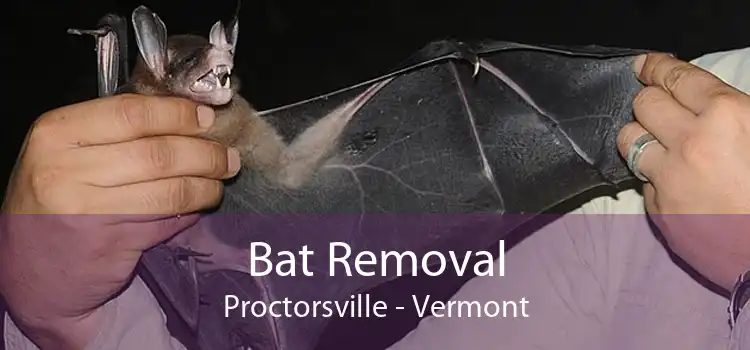 Bat Removal Proctorsville - Vermont