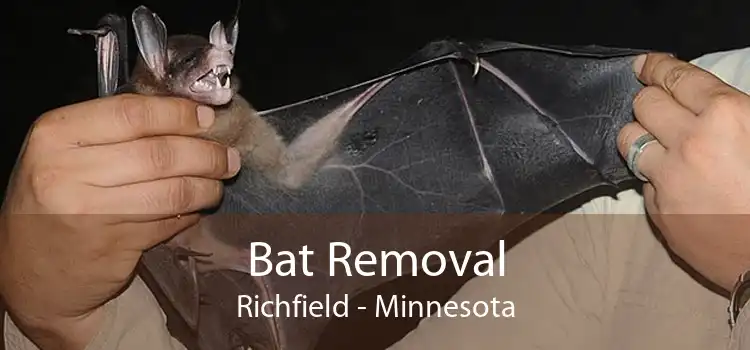 Bat Removal Richfield - Minnesota