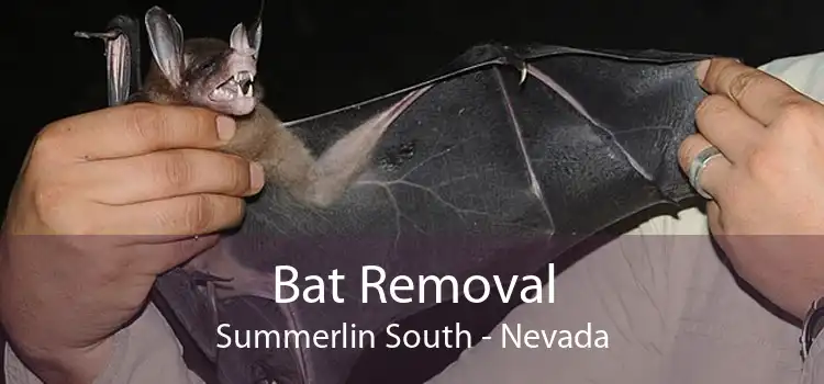 Bat Removal Summerlin South - Nevada