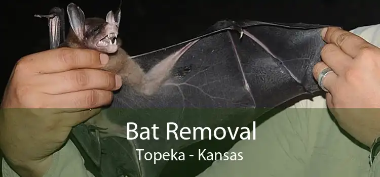 Bat Removal Topeka - Kansas