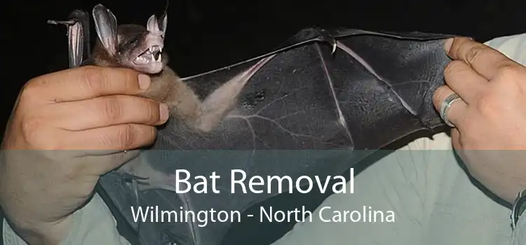 Bat Removal Wilmington - North Carolina