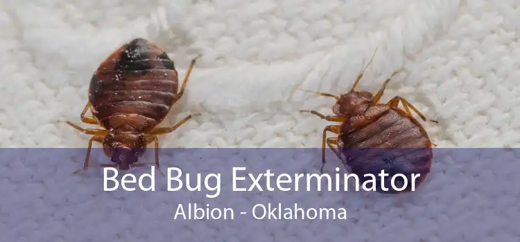 Bed Bug Exterminator Albion - Oklahoma